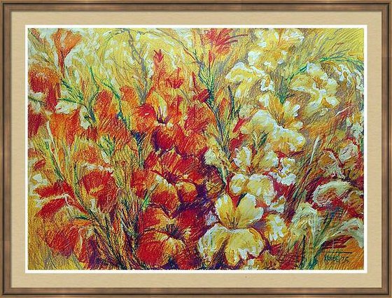 Gladiolus 2