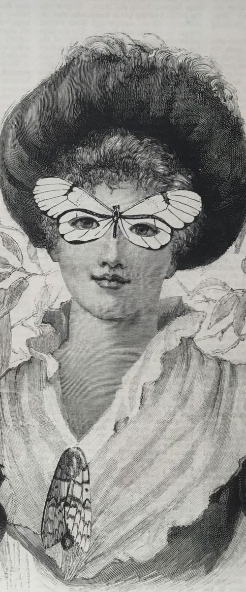 Butterfly - In The Garden by Tudor Evans
