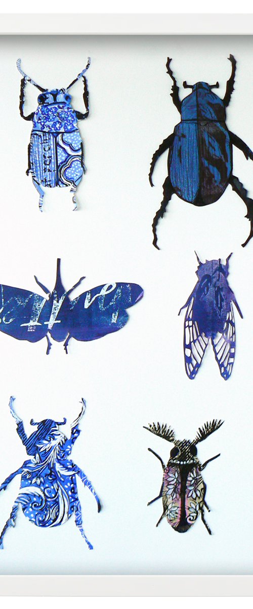 Cabinet of curiosities by Carolynne Coulson