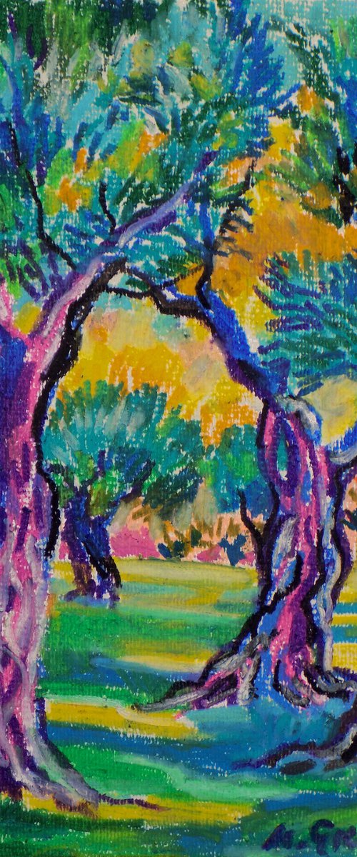 Olive grove No 21 by Maja Grecic