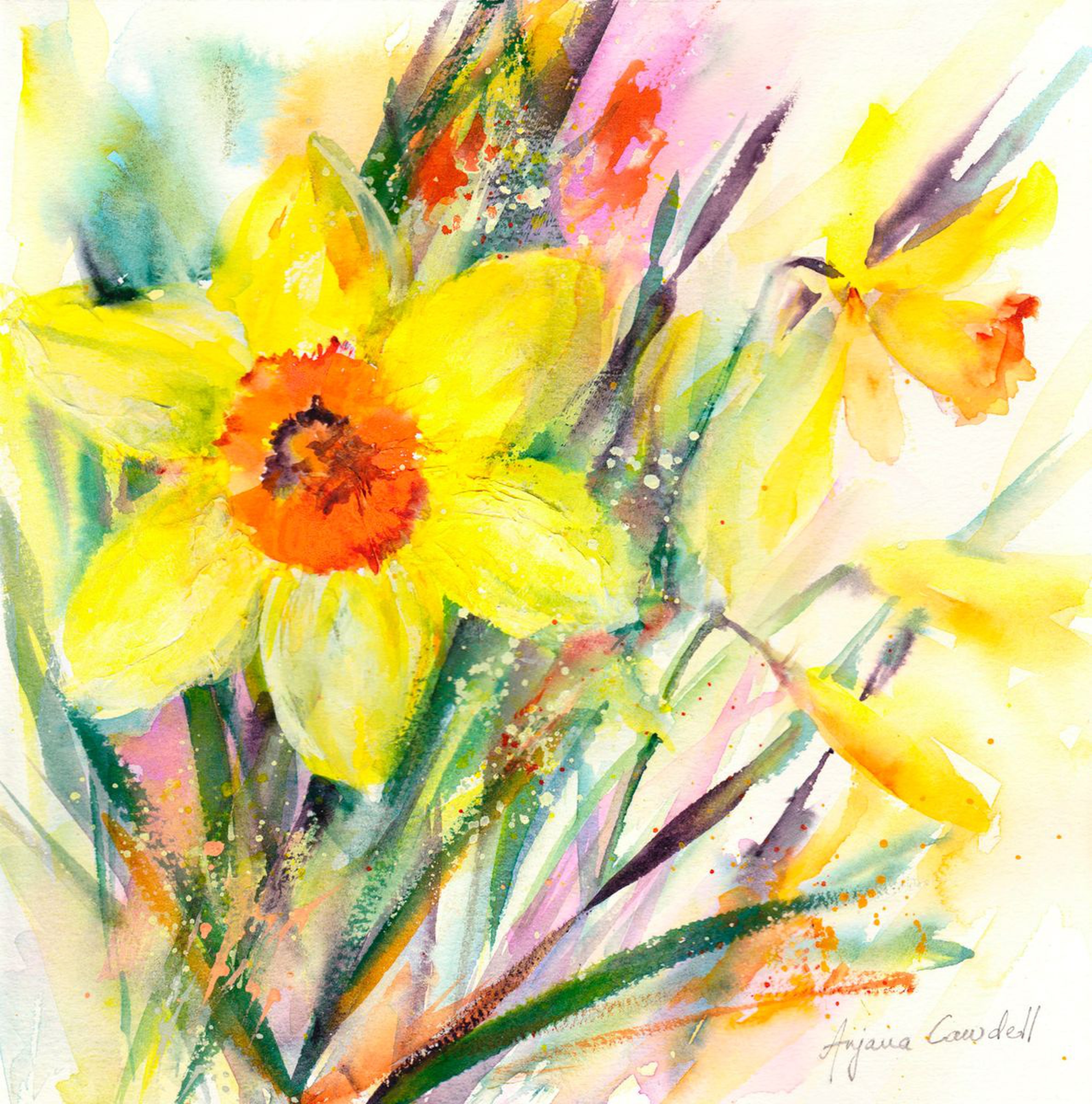 Dancing In The Breeze 2 Daffodil Painting Spr Artfinder