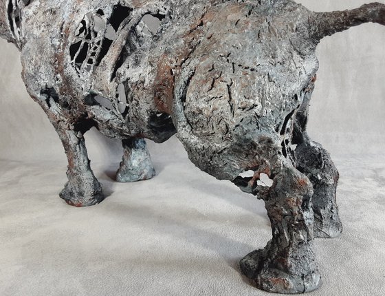 Savannah