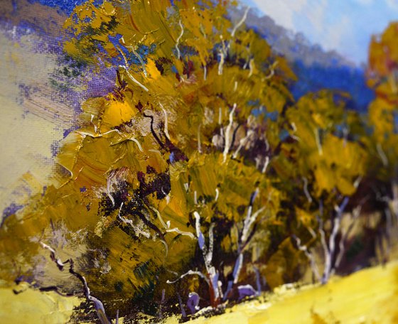 Summer Australian Landscape