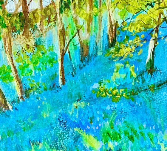 Bluebell Woods