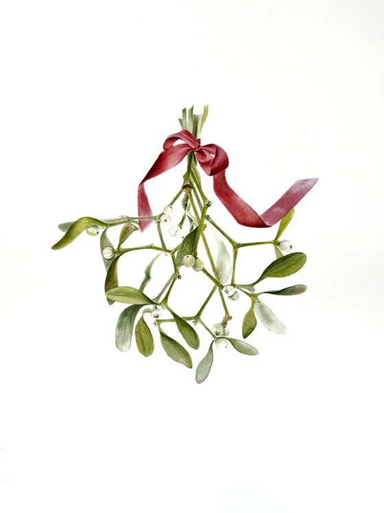 Mistletoe