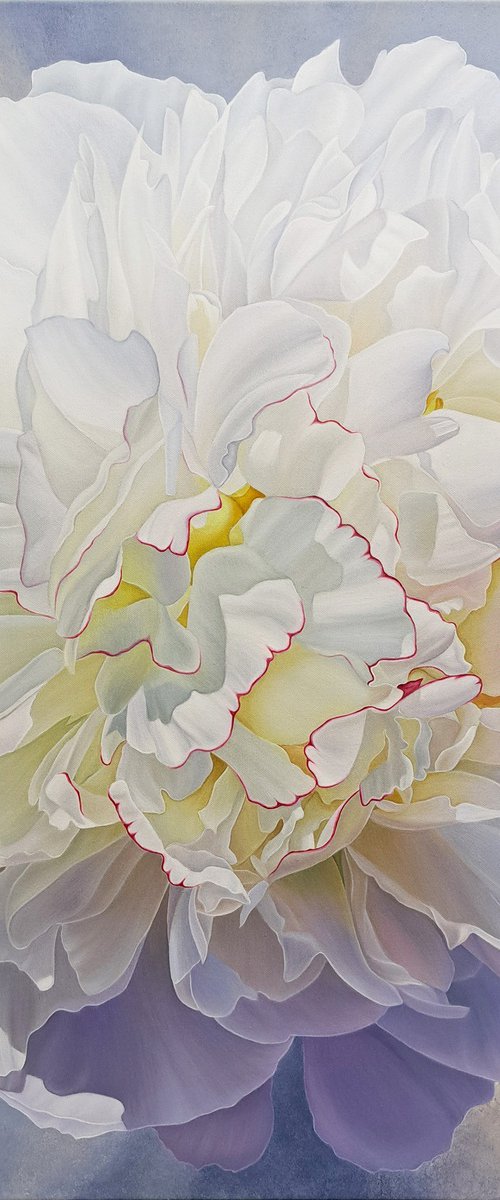 The breath of peony by Anna Steshenko