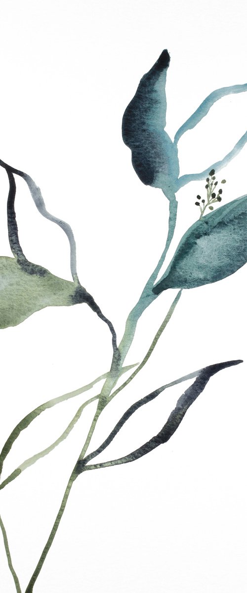 Plant Study No. 82 by Elizabeth Becker