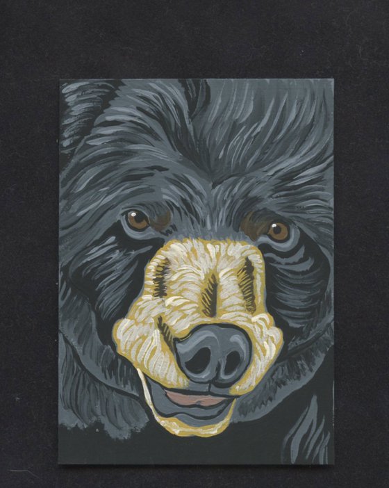 ACEO ATC Original Miniature Painting Black Bear Wildlife Art-Carla Smale