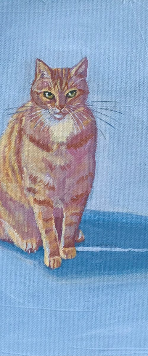 Ginger cat by Mary Stubberfield