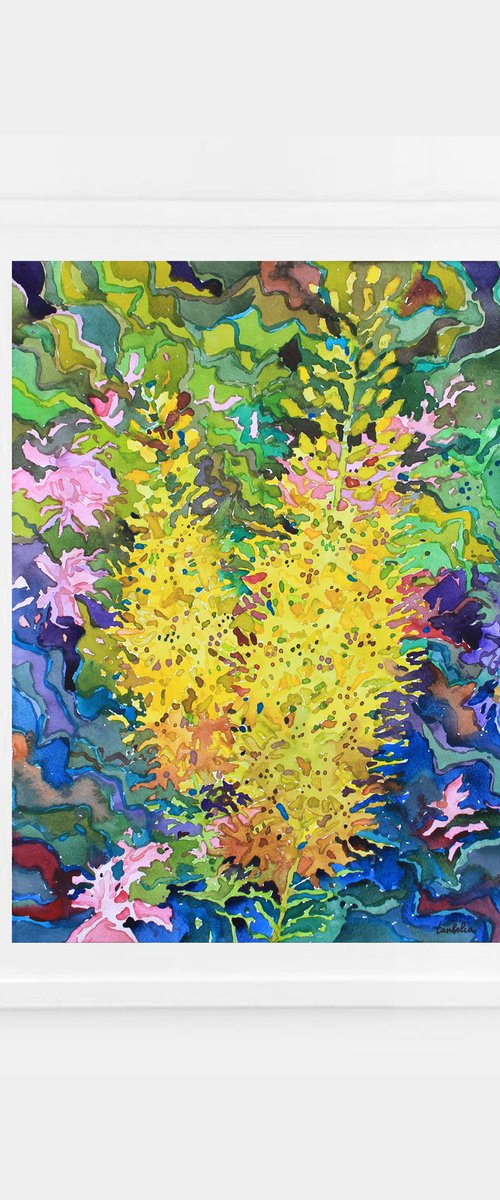 Yellow Eremurus by Tanbelia