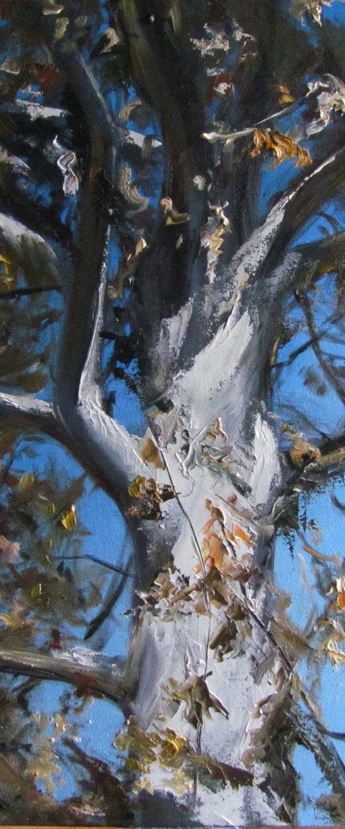 Soul of the Tree by Valeriia Radziievska