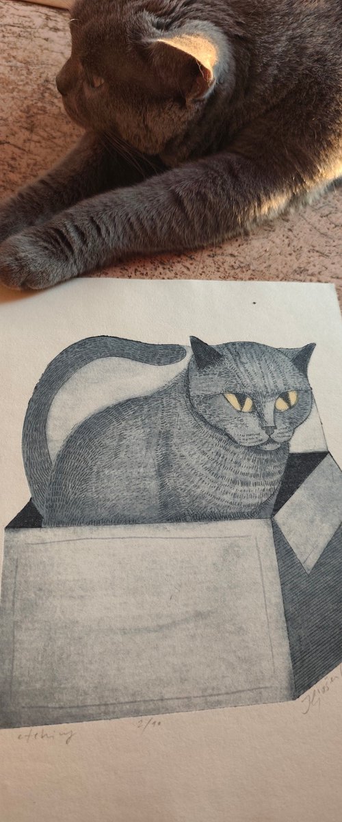 My Cat Theodor. by Vaclav Iljasenko