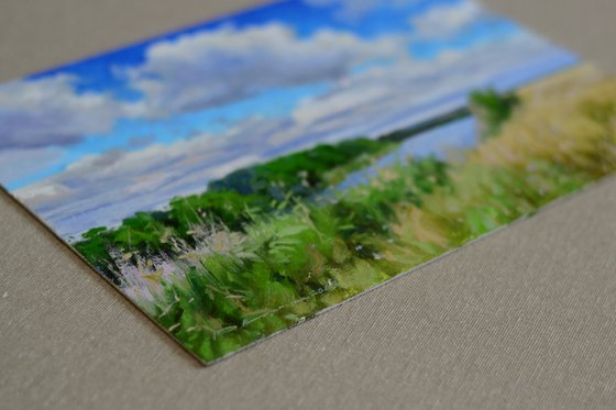 Clouds over the meadow