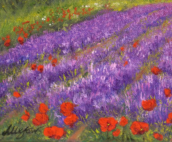 Lavender and poppies