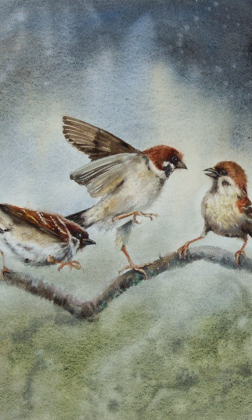 Battle the Sparrows by Olga Beliaeva Watercolour