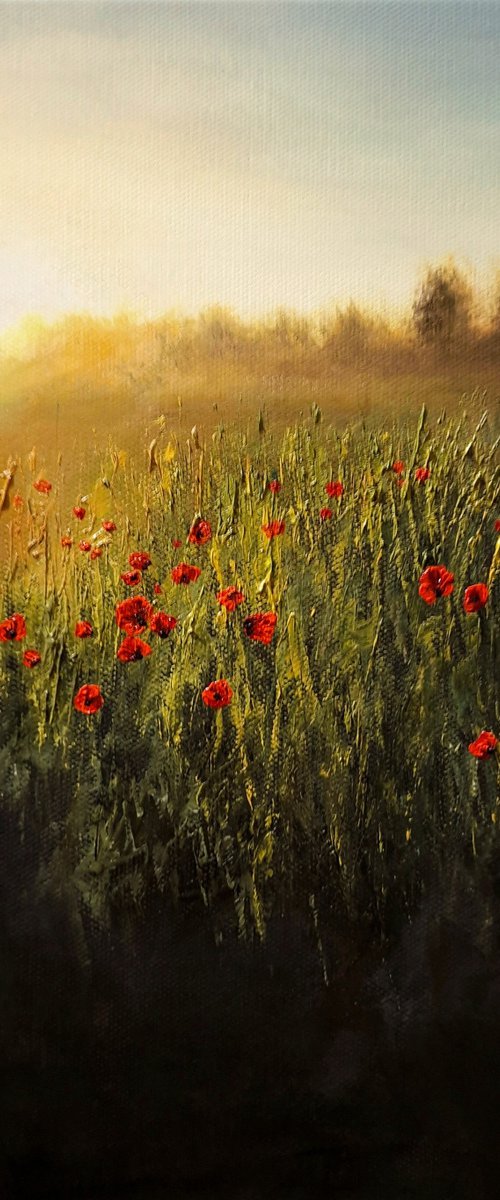 Morning Glow by James Brunt
