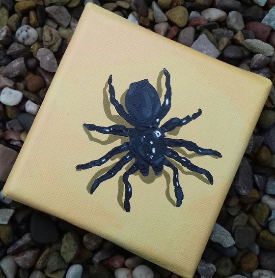 Spider, Yellow background