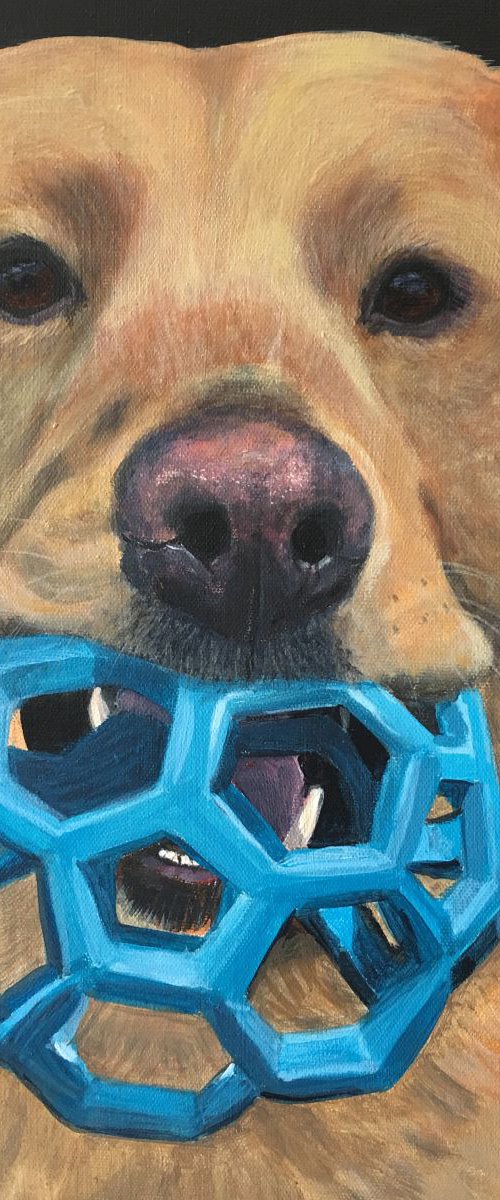 BRODY - LABRADOR by ELAINE ASKEW