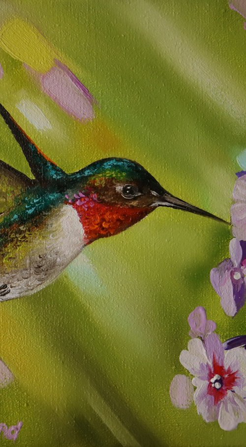 Hummingbird by Natalia Shaykina