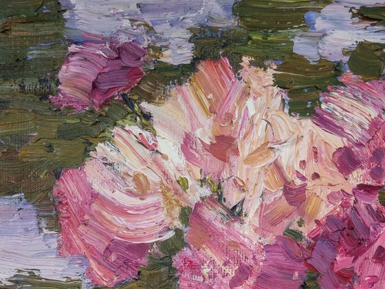 Peonies