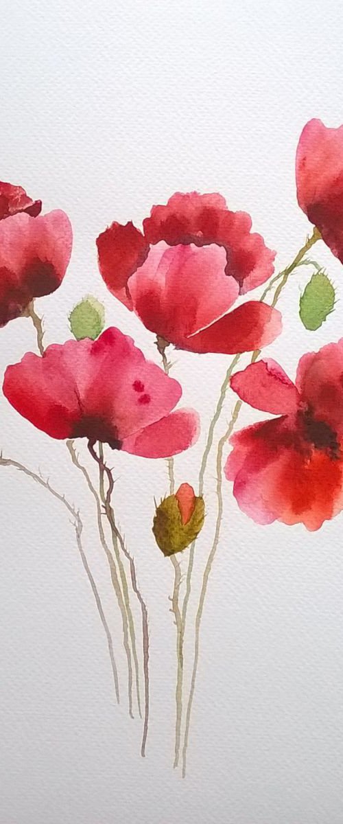 poppies flowers by Barbara Mazur