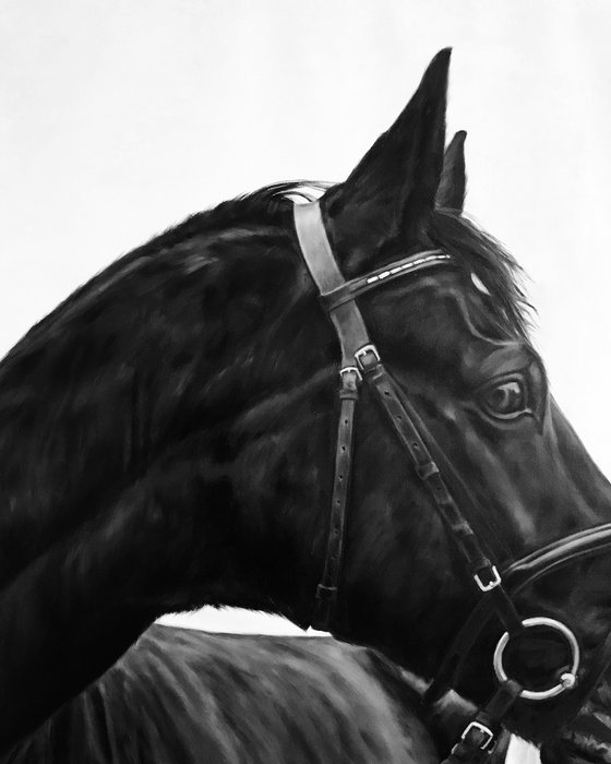 Big oil painting with horse "Unity" 100*120 cm