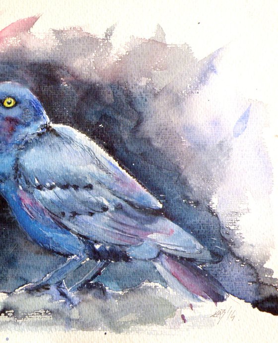 Bird