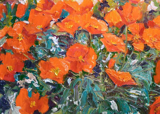 California Poppies in The Mountains, Superbloom Landscape