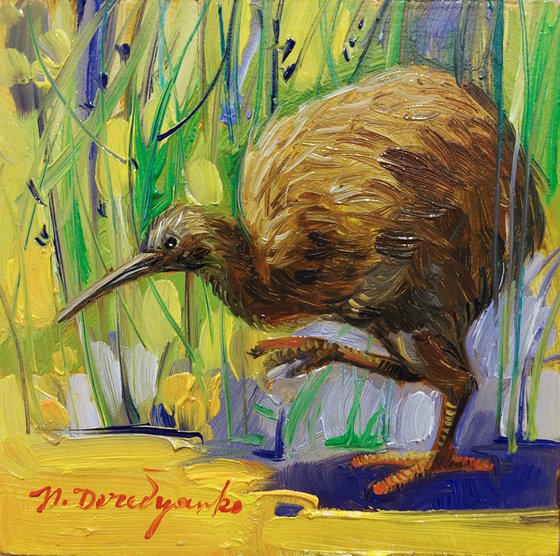 Kiwi bird