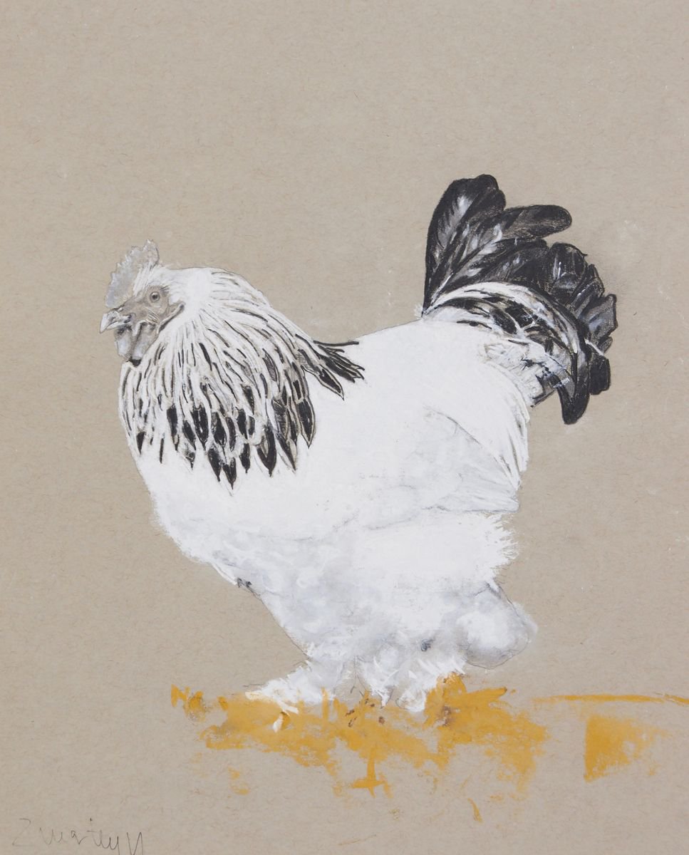 Gallo 3 (Framed) by Carlos Martin