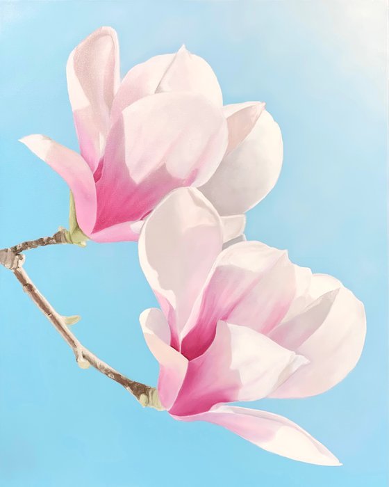 Stunning Blooms. Magnolia.
