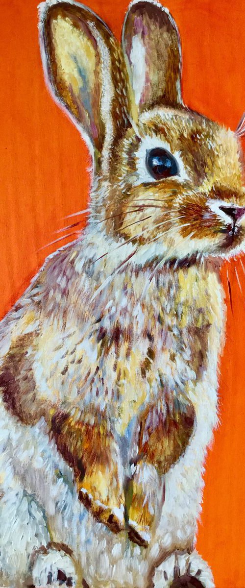GOLDEN BUNNY by Olga Koval