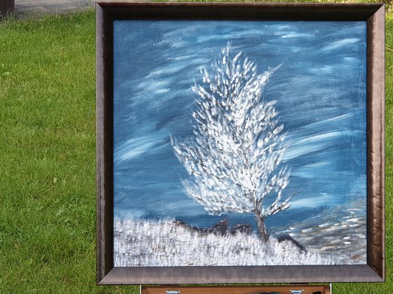 Silver Landscape