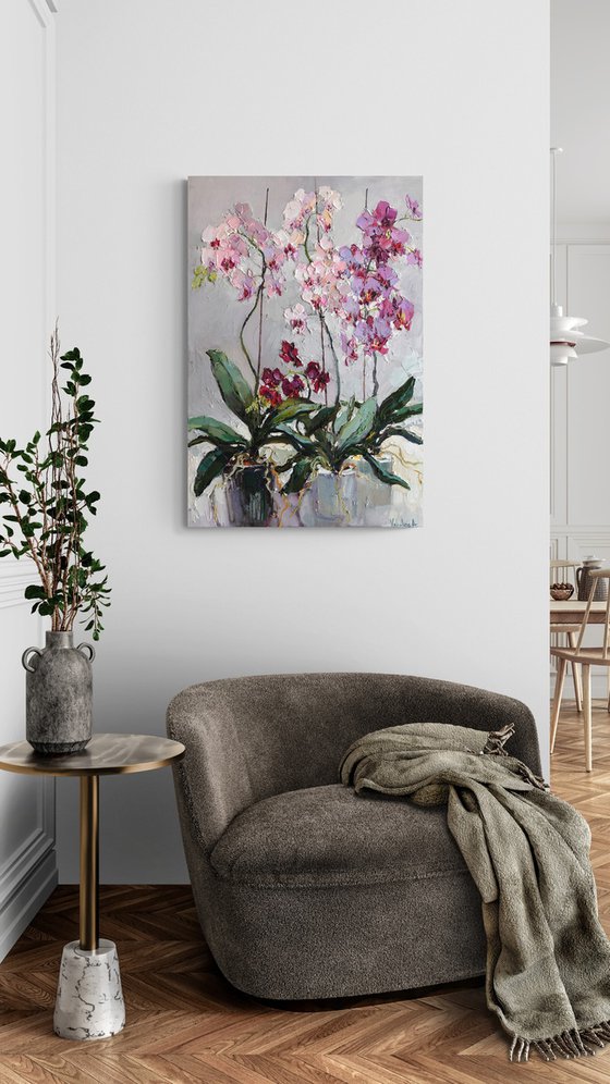 Blooming Orchids