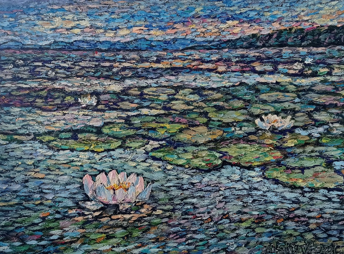 lake with water lilies by Irina Tolstikova