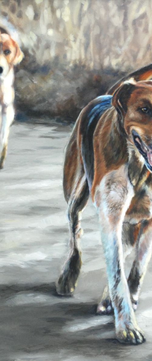 Follow My Leader by Sarah Eden