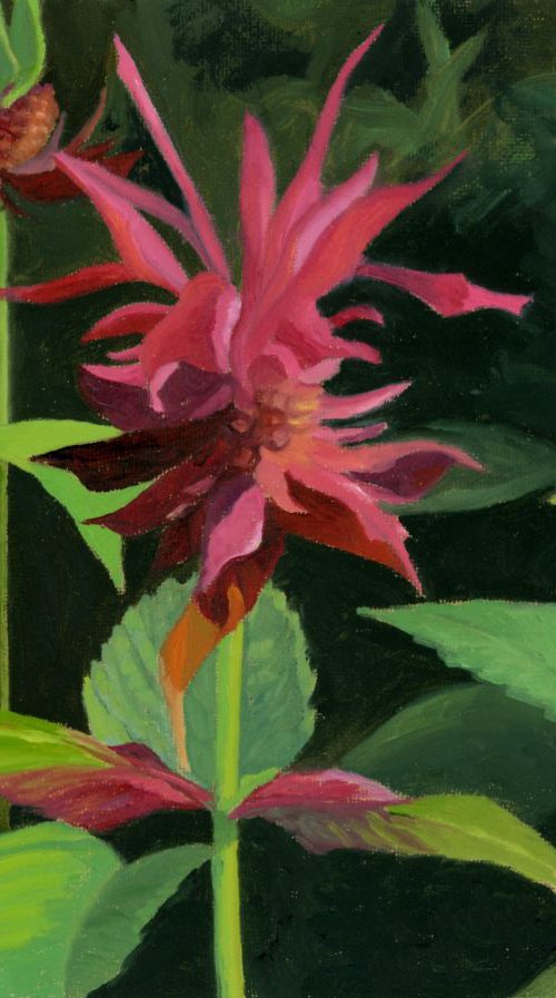 BEEBALM #2 by Nancy herman