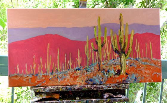 Warm Evening, Saguaros