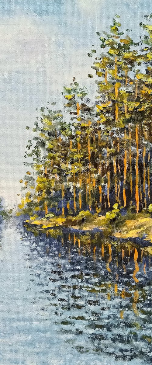 Sunny pines by Oleh Rak