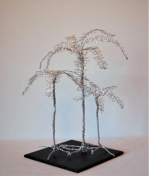 Silver tree, 3 Palm's by Steph Morgan