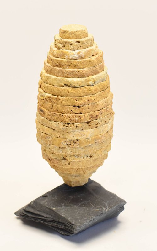 GOLDEN COCOON by MUGNIER MARC