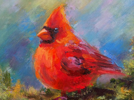 Red Cardinal Bird Nature