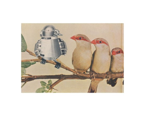 Bird Bot