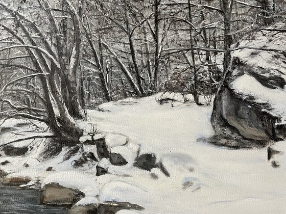 Winter Stillness in Motion