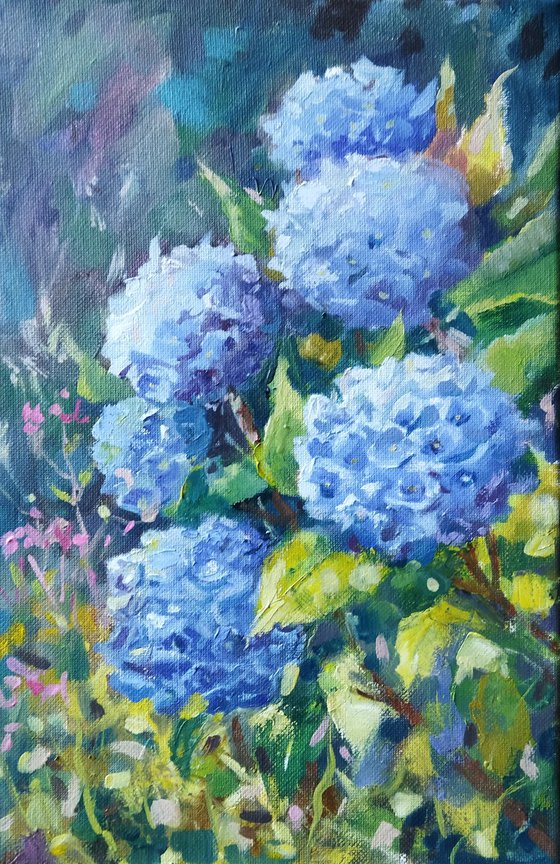 Hydrangeas flowers