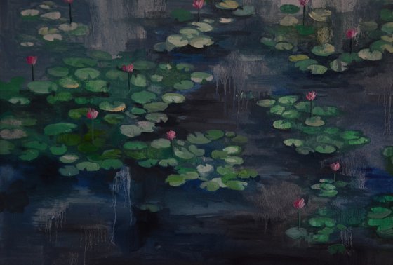 Lily pond. Petrichor