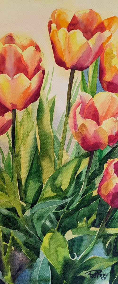 Tulips by Yuryy Pashkov