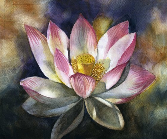 Lotus blossom watercolor