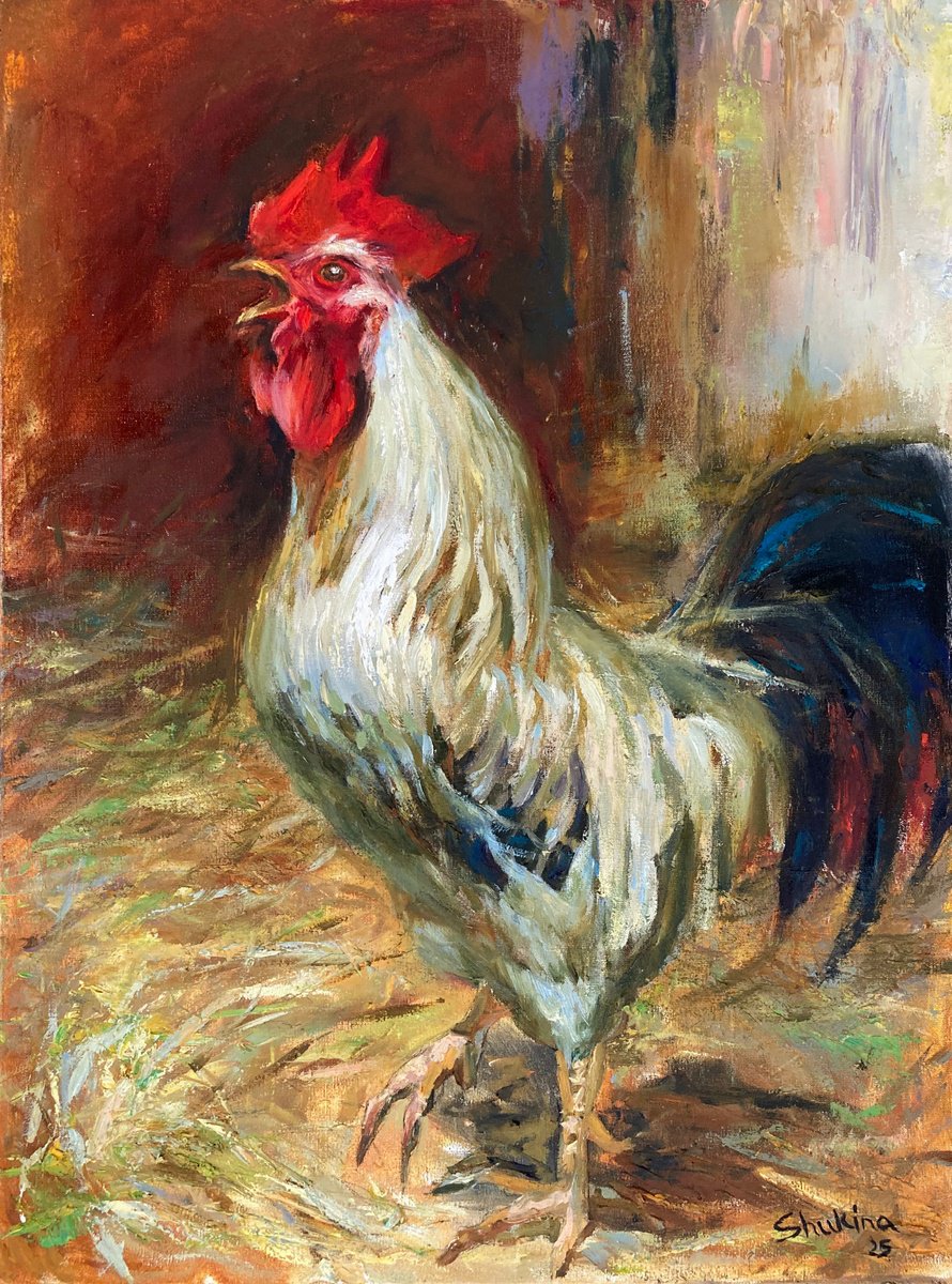 Expressive Animal Oil Painting By Helen Shukina, 18 X 24, Rooster. Guard Of The Yard, Original Artwork