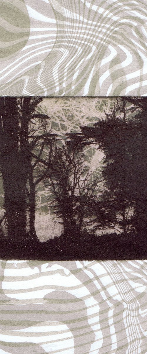 The Beautiful Trees 5 by Aidan Flanagan Irish Landscapes